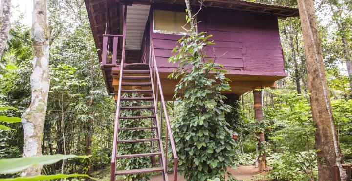 Sunbird Garden Resort Krishnagiri Extérieur photo